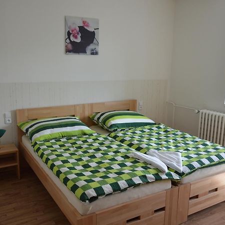 Penzion Havelka apartmány Železná Ruda Kültér fotó