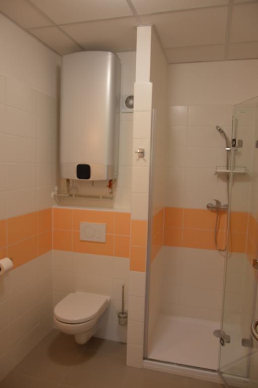 Penzion Havelka apartmány Železná Ruda Kültér fotó